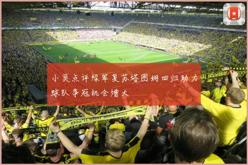 小莫点评绿军复苏塔图姆回归助力球队争冠机会增大