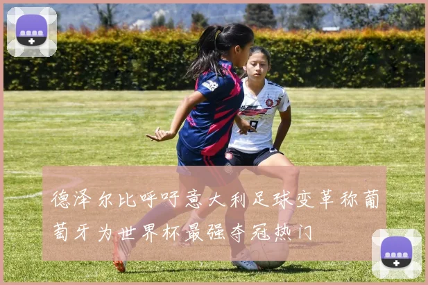 德泽尔比呼吁意大利足球变革称葡萄牙为世界杯最强夺冠热门